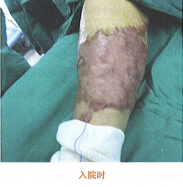 俄罗斯贵宾会·(中国)集团