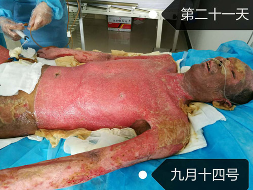 俄罗斯贵宾会·(中国)集团