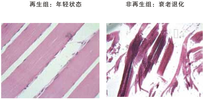 201122011462770