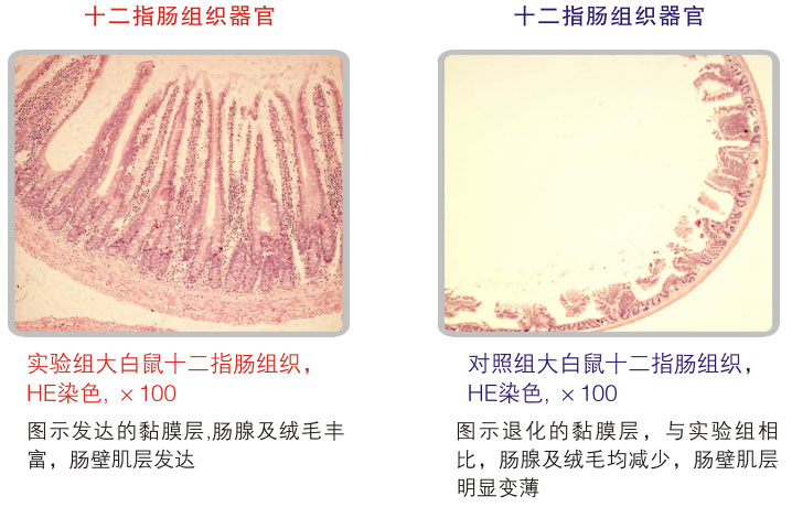 201122014521579