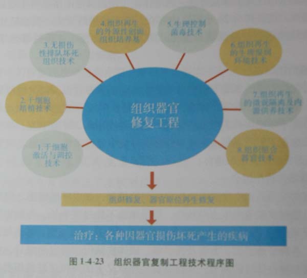 201131135416496