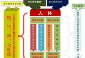 俄罗斯贵宾会·(中国)集团